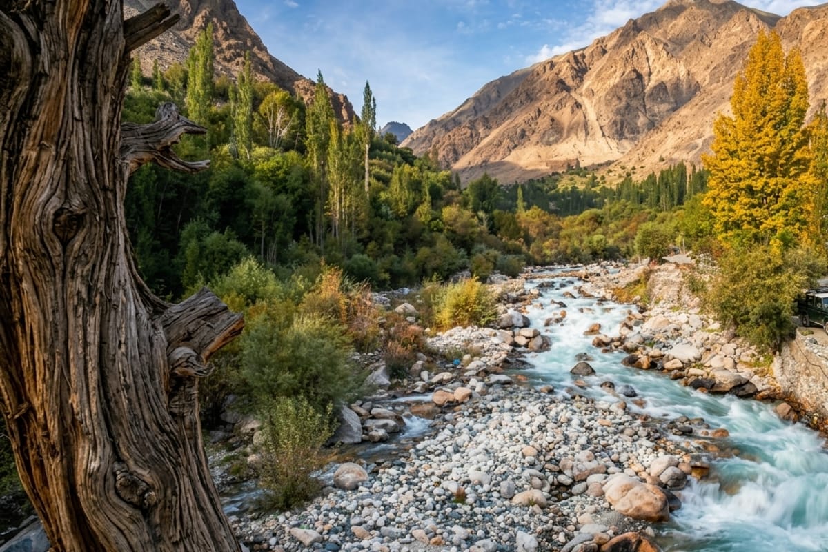 Autumn colours along a Ladakh mountain stream in October, golden light, near-empty roads, and some of the best photography conditions of the year