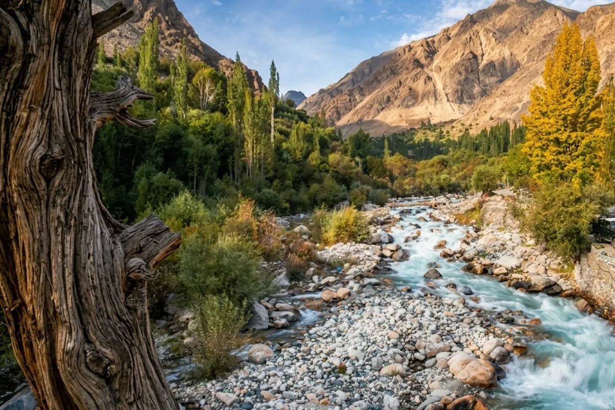 Autumn colours along a Ladakh mountain stream in October, golden light, near-empty roads, and some of the best photography conditions of the year