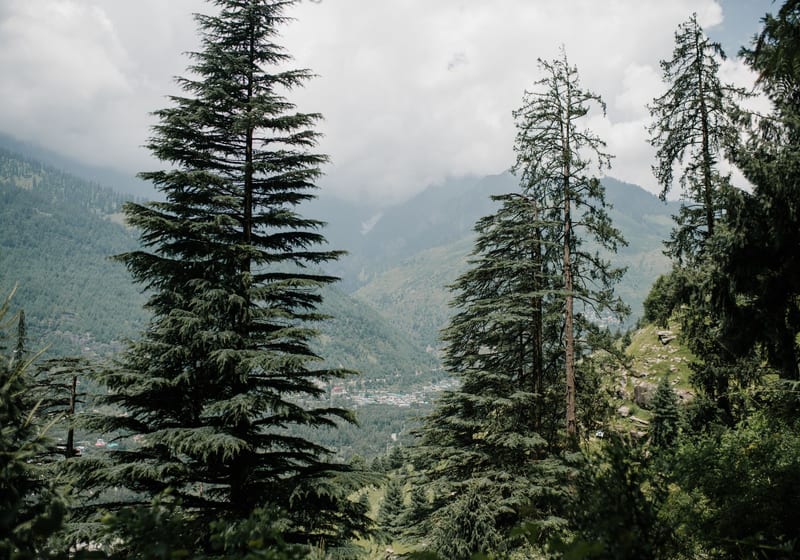 The Beas river valley near Manali at sunrise with snow peaks behind