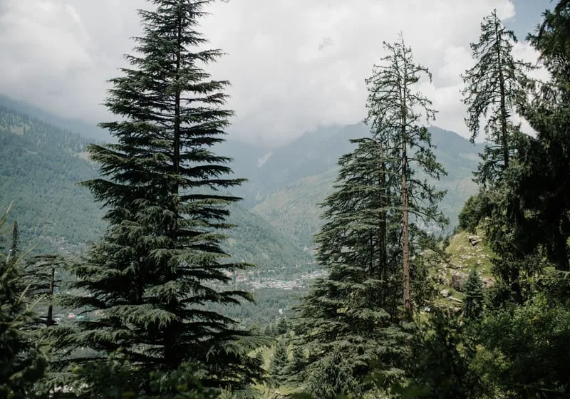 The Beas river valley near Manali at sunrise with snow peaks behind
