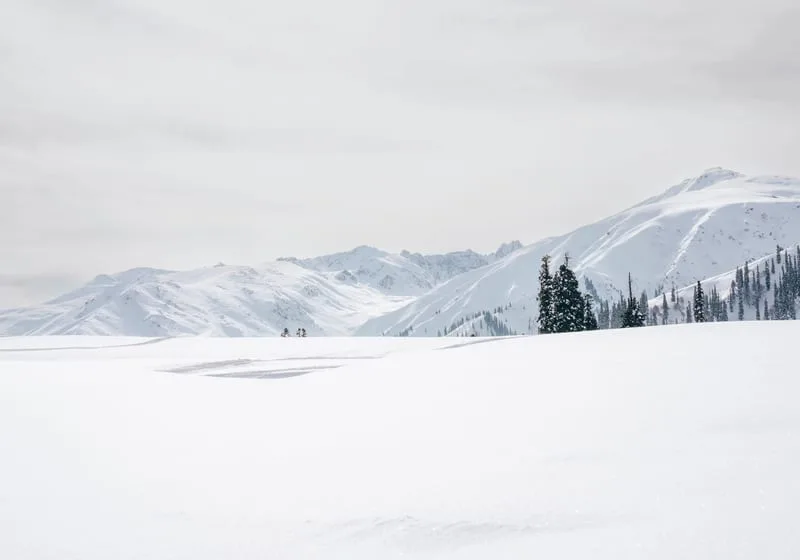 Gulmarg Gondola cable car climbing towards the snow line on Apharwat Peak